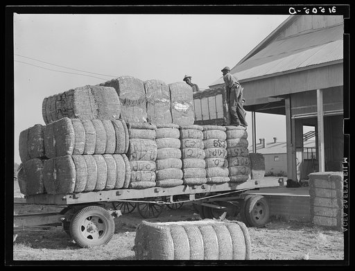 Loading bales of cotton onto truck from gin. Lake Dick Project, Arkansas