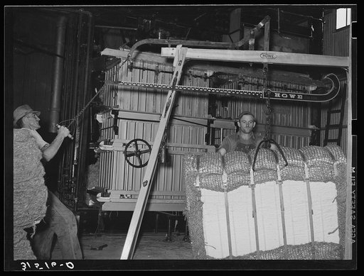 Weighing a bale of cotton at gin. Lake Dick Project, Arkansas