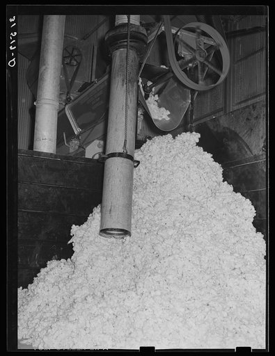 Suction pipe and raw cotton at gin. Lake Dick Project, Arkansas