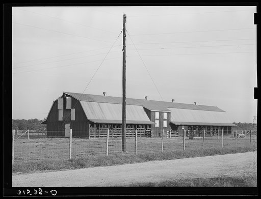 Mule barn. Lake Dick Project, Arkansas