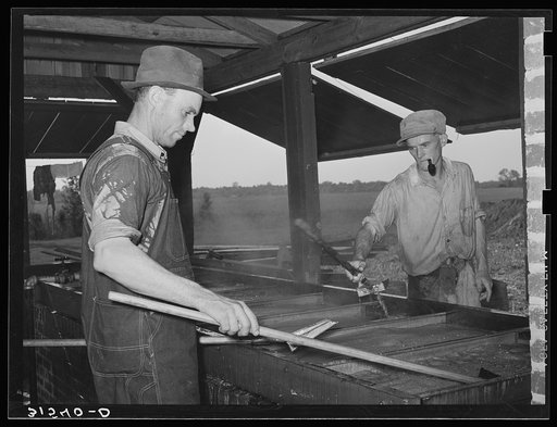 Farmers' cooperative association making sorghum. Lake Dick Project, Arkansas