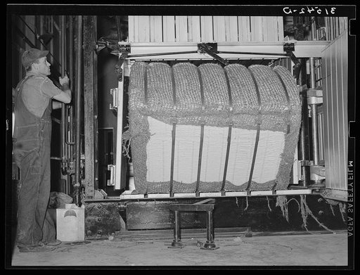 Bale of cotton immediately after compressing, being tipped out of baler. Lake Dick Project, Arkansas