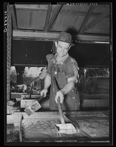 Cooperative farmer at sorghum mill. Lake Dick Project, Arkansas