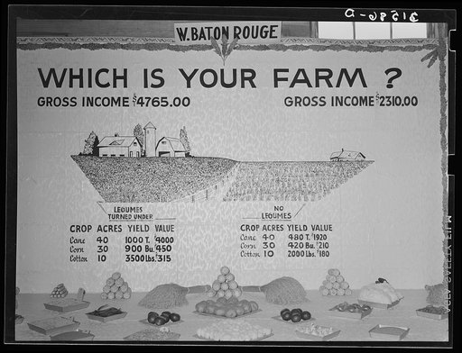 Poster in agricultural exhibit at South Louisiana State Fair. Donaldsonville, Louisiana