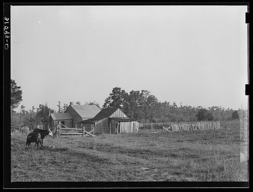 Farmstead of aged couple living near Crowley, Louisiana