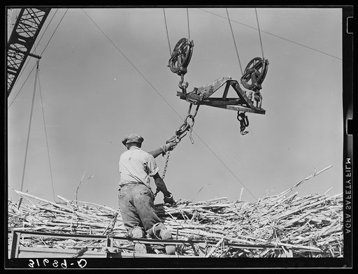 Man atop truck getting ready to hook chain in position for hoisting bundle of sugarcane from truck. Sugar mill near Jeanerette, Louisiana
