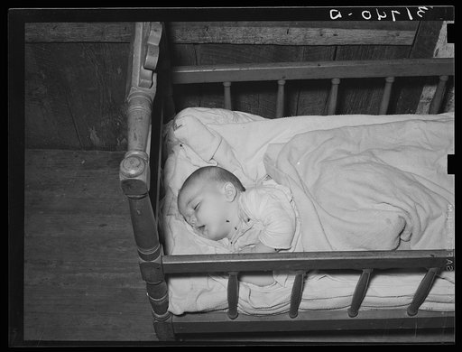 Grandson of W.E. Smith. Near Morganza, Louisiana