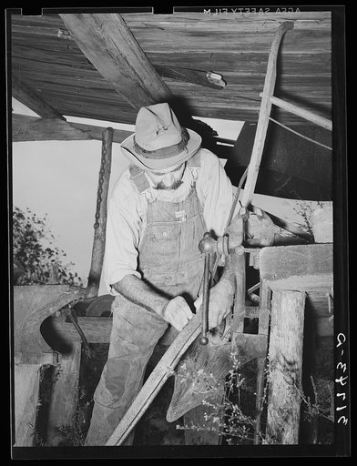 W.E. Smith, farmer near Morganza, Louisiana