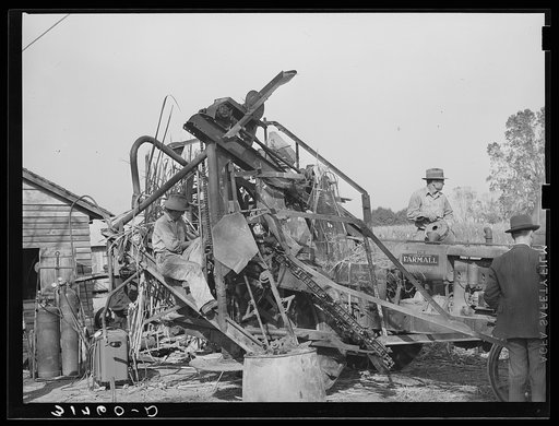 The Wertel sugarcane harvester near New Roads, Louisiana