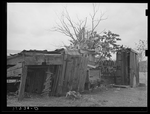 Shed and privy on farmstead of Emil Kimball, farmer. Morganza, Louisiana