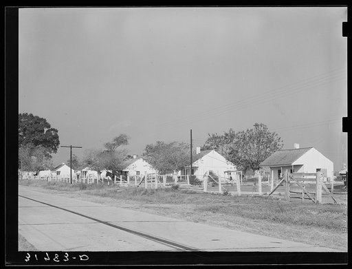 Houses for Negroes on cane plantation near New Roads, Louisiana