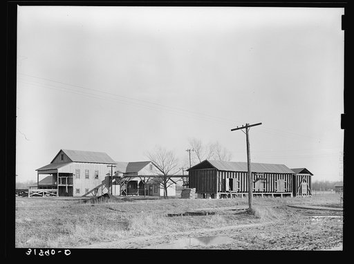 Cotton gin and warehouse near Transylvania, Louisiana