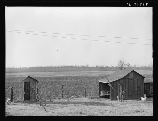 Farmyard in foreground showing general contour of country near Chicot, Arkansas