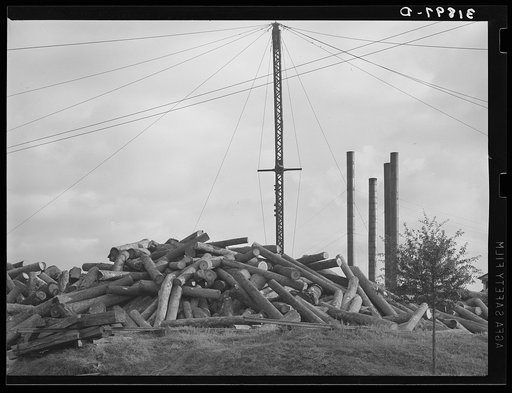 Piles of logs in front of lumber mill. Laurel, Mississippi