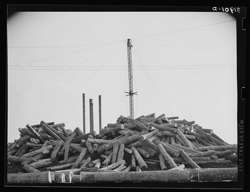 Untitled photo, possibly related to: Piles of logs in front of lumber mill. Laurel, Mississippi