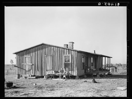 Untitled photo, possibly related to: Children of the Scarbroughs in front of farm home. Laurel, Mississippi