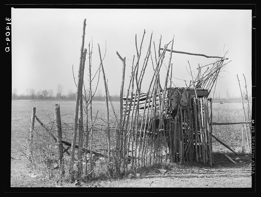 Chicken shed on former sharecropper's farm. Transylvania, Louisiana