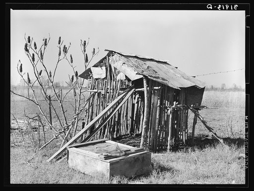 Chicken shed on former sharecropper's farm near Transylvania, Louisiana
