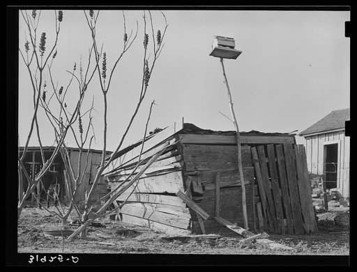 Shed on former sharecropper's farm near Transylvania, Louisiana