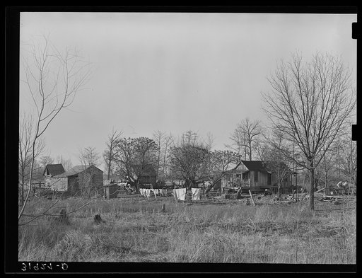 Typical farmstead near Lake Providence, Louisiana