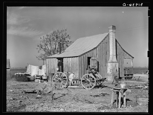 Sharecropper's cabin. Transylvania, Louisiana