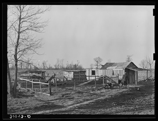 Farmstead of Negro sharecropper with sharecropper carrying water. Near Transylvania, Louisiana