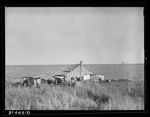 Negro sharecropper's farmstead against the levee. Near Lake Providence, Louisiana
