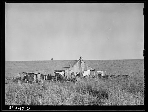 Untitled photo, possibly related to: Negro sharecropper's farmstead against the levee. Near Lake Providence, Louisiana