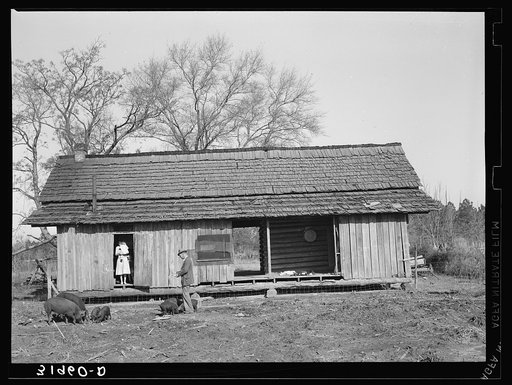 Dog trot cabin of Ed Bagget, sharecropper, near Laurel, Mississippi