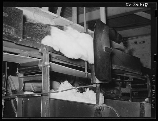 Cotton from the bale is transported by belt to machine for making cotton bats. Weighing device is so sensitive that it directs the cotton from one machine to another. Laurel, Mississippi