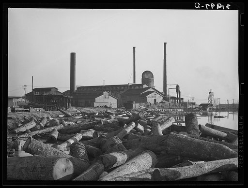 Lumber mill with logs in pond. Laurel, Mississippi