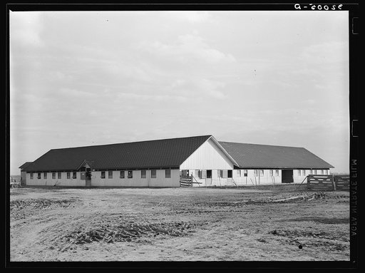Barn. Sunflower Plantation near Merigold, Mississippi. This farm is leased by FSA (Farm Security Administration) and subleased to clients