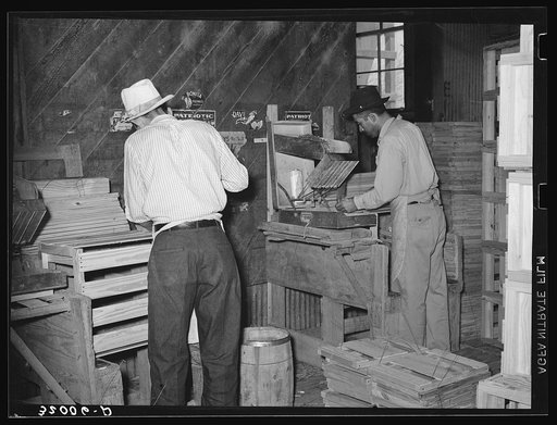 Mexican box makers at vegetable packing plant. Alamo, Texas