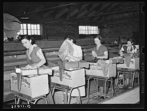 Packing grapefruit. Weslaco, Texas