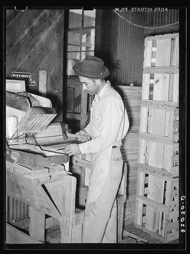 Mexican crate maker. Cabbage packing plant, Alamo, Texas