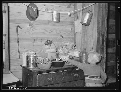 Corner of kitchen with flower bulbs in tin pans. Tenant farm family living near Pace, Mississippi
