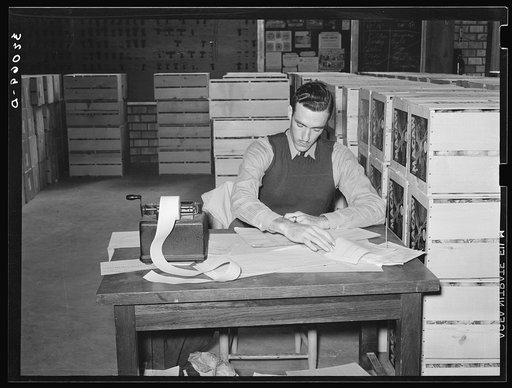 Checking clerk, citrus packing plant. Weslaco, Texas
