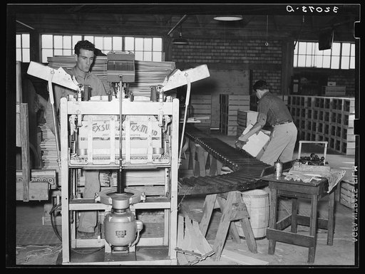 Lidding machine with roller conveyor. Citrus packing plant, Weslaco, Texas