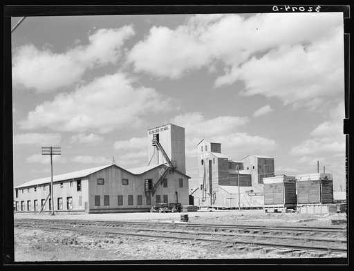 Packing warehouse. Pharr, Texas