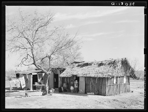 Mexican day laborer's hut near Santa Maria, Texas