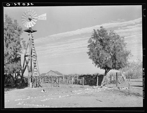 Windmill and corral and front yard of Mexican farm owner. Hidalgo County, Texas