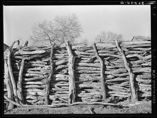 Detail of corral made of mesquite. Hidalgo County, Texas