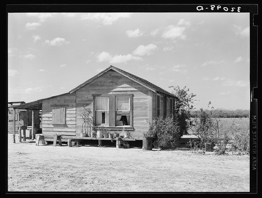 Untitled photo, possibly related to: Bench of potted plants at side of home of Mexican day laborer. Near Santa Maria, Texas