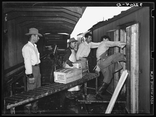 Pushing in the last few crates of vegetables into boxcar. Elsa, Texas