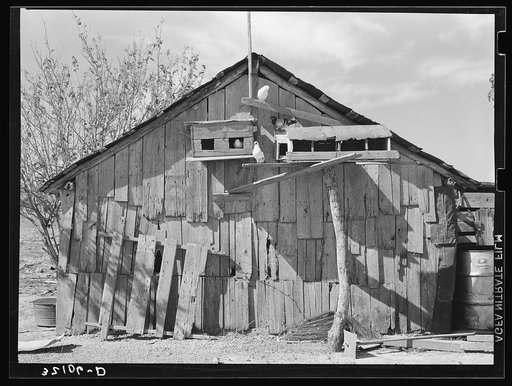 Untitled photo, possibly related to: Side of barn of Mexican day laborer with pigeon cote. Near Santa Maria, Texas