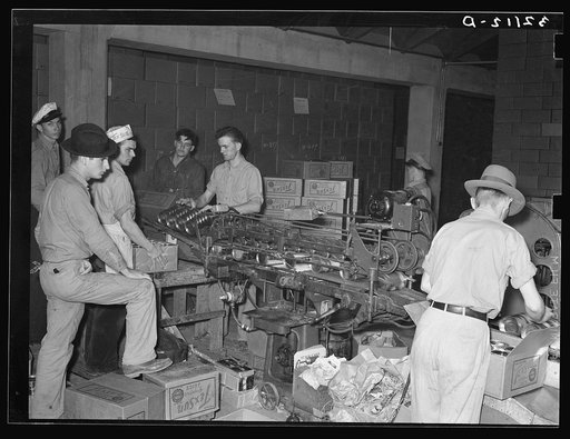 Labelling machine. Grapefruit juice canning plant, Weslaco, Texas