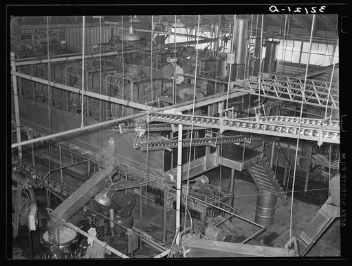 General view of grapefruit canning plant. Weslaco, Texas