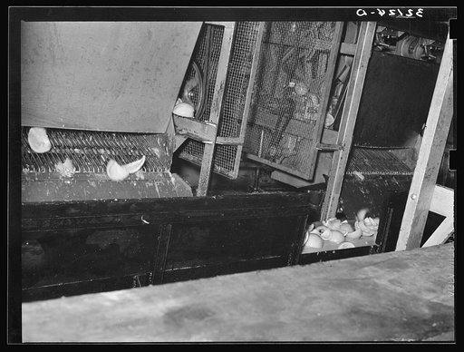 Untitled photo, possibly related to: Grapefruit juice canning plant, Weslaco, Texas