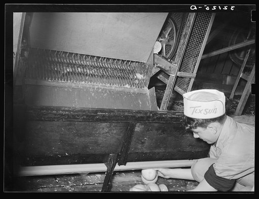 Untitled photo, possibly related to: Grapefruit juice canning plant, Weslaco, Texas