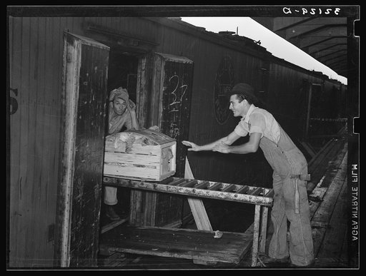Untitled photo, possibly related to: Pushing in the last few crates of vegetables into boxcar. Elsa, Texas